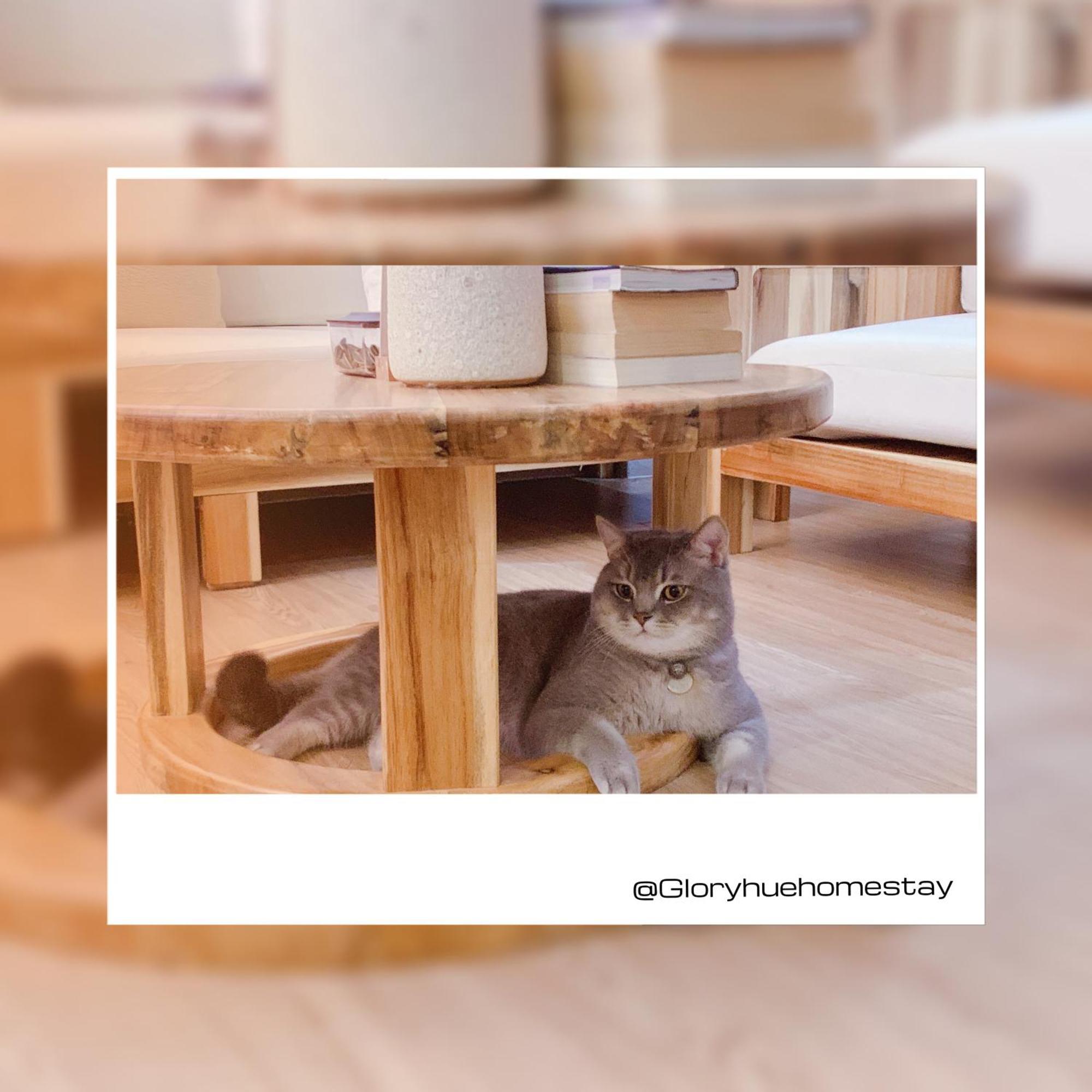 Glory Hue Homestay Dış mekan fotoğraf
