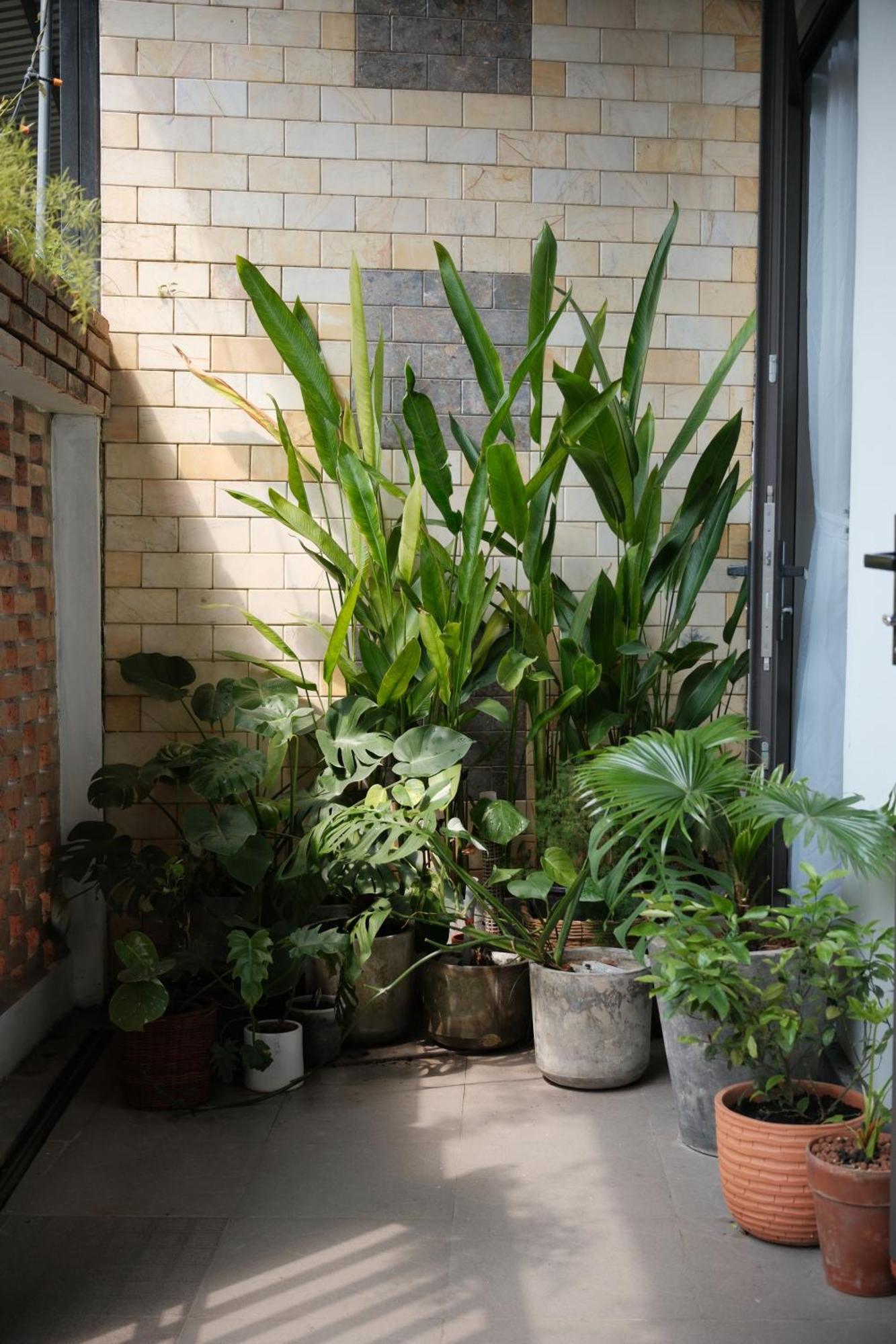 Glory Hue Homestay Dış mekan fotoğraf