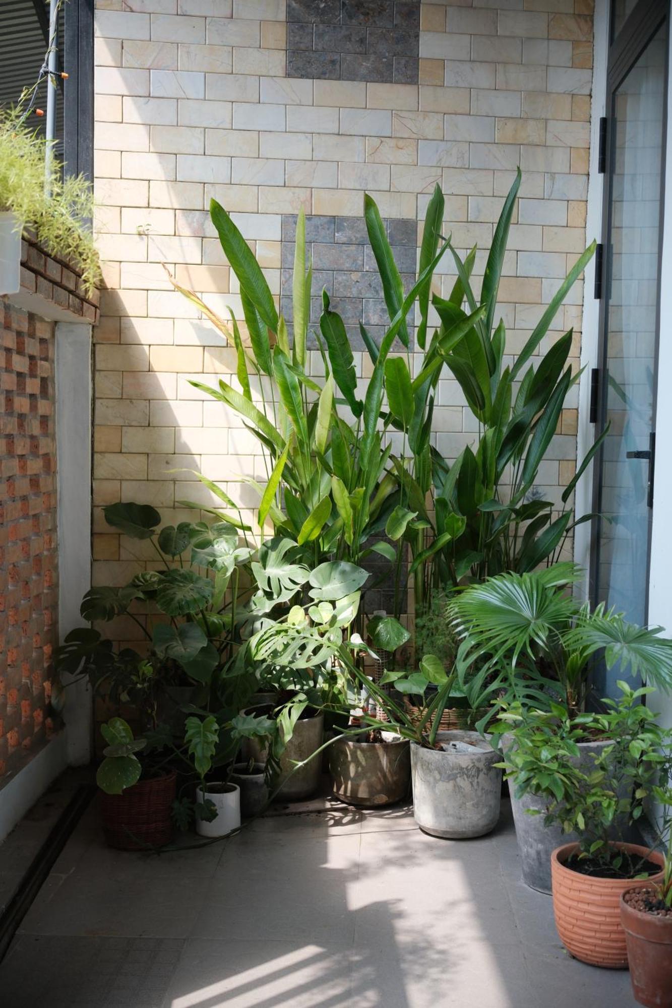 Glory Hue Homestay Dış mekan fotoğraf