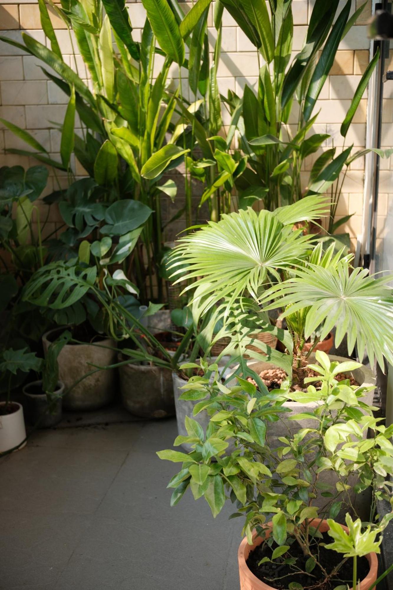 Glory Hue Homestay Dış mekan fotoğraf