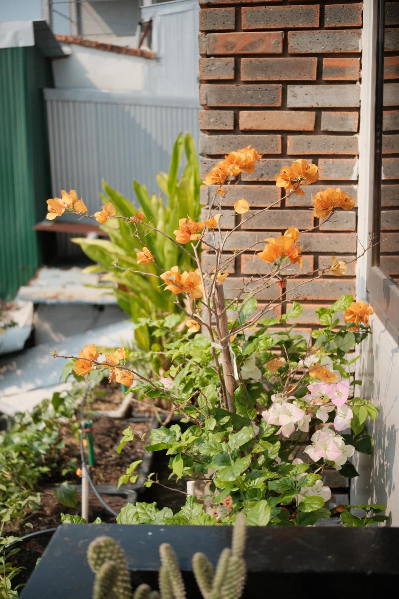 Glory Hue Homestay Dış mekan fotoğraf